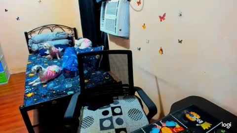 kimmy online show from 03.04.25