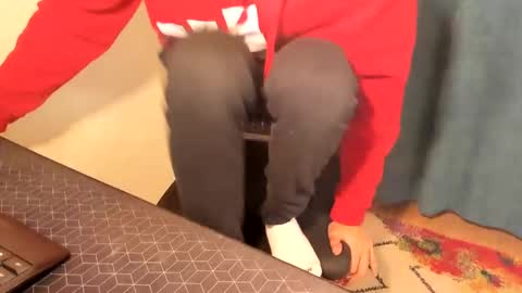 Silly Rabbit  online show from 12.15.24