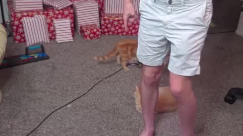 Matt Cash online show from 12.26.24