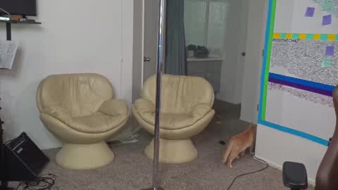 Matt Cash online show from 01.10.25