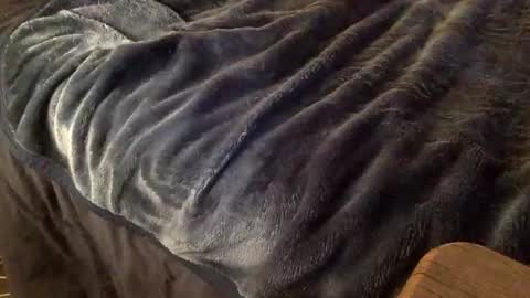 Ignacio online show from 10.09.25