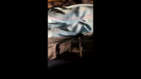 Snapshot of maxhot9977 chatting on 03.20.26 maxhot9977 online show from 03.20.26