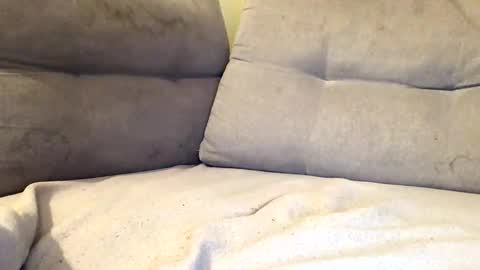 maximemax14 online show from 02.25.26