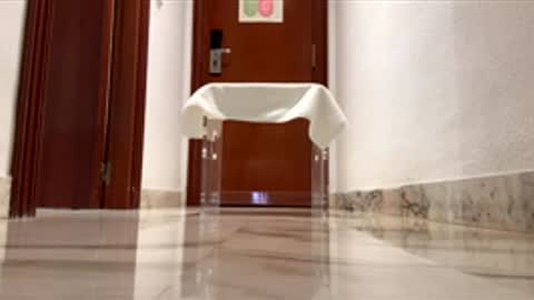 maximo1991 online show from 12.14.25