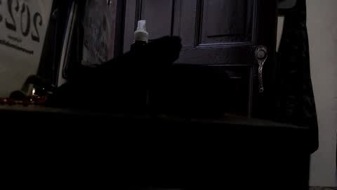 Snapshot of maximotorricelli chatting on 01.03.25 maximotorricelli online show from 01.03.25