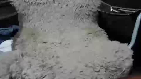 Snapshot of maximus_oreally chatting on 01.07.25 Max online show from 01.07.25