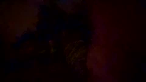 maxmax354 online show from 03.01.25