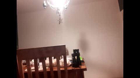 mccock16cm online show from 02.16.25