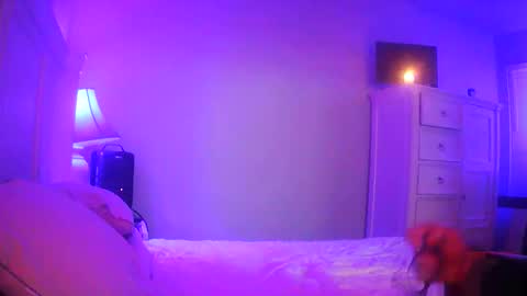 mecrago online show from 01.14.26