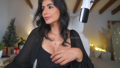 Snapshot of meegan1 chatting on 12.11.24 Andrea  online show from 12.11.24