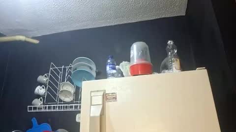 Megan and sophi online show from 11.05.25