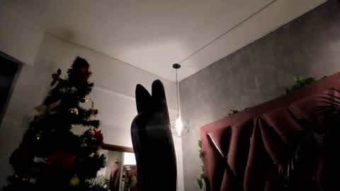    online show from 12.08.24
