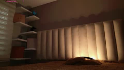     online show from 11.14.25