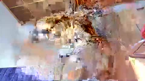 MEG online show from 11.14.25