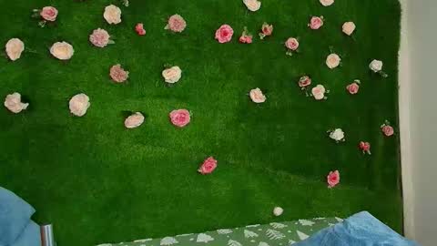 megatitts_ online show from 02.22.26