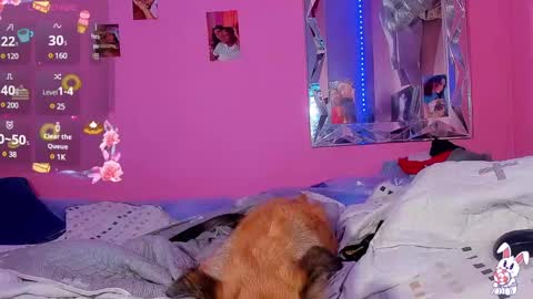 Luisa  online show from 03.02.25