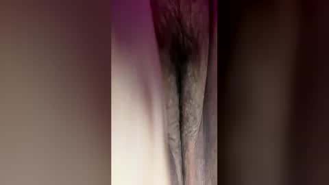 mel_fme2 online show from 04.19.26