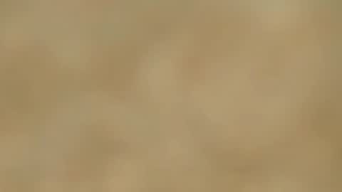 Melania online show from 01.15.25