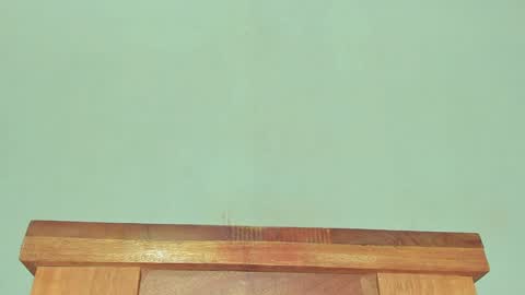 Melania online show from 01.30.25