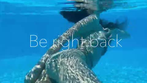 Adel online show from 11.03.25