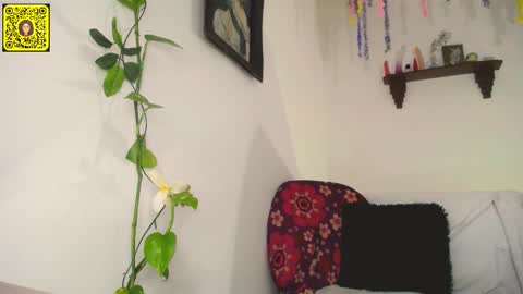 Snapshot of meliss1 chatting on 02.11.25 melissa online show from 02.11.25