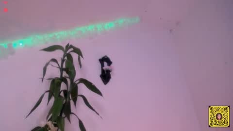 melissa online show from 09.20.25