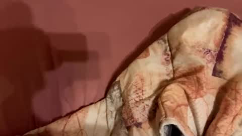 Snapshot of melissa9040 chatting on 02.09.26 melissa9040 online show from 02.09.26