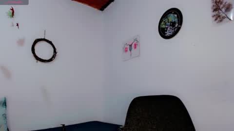 Snapshot of melissa_and_carol chatting on 01.13.25 Carol - Dany online show from 01.13.25