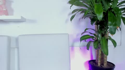 Melissa online show from 12.15.24