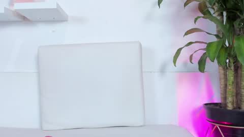 Melissa online show from 12.20.24