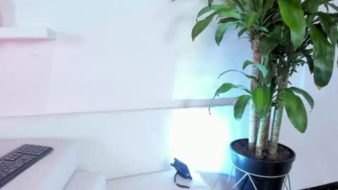 Melissa online show from 12.28.24