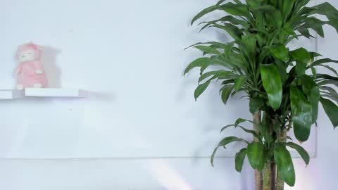 Melissa online show from 01.10.25