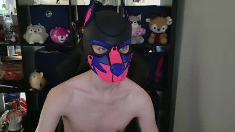 Snapshot of mellpup chatting on 04.29.26 MellPUP online show from 04.29.26