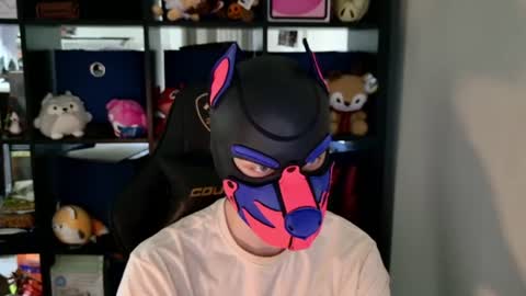MellPUP online show from 06.11.26
