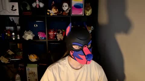MellPUP online show from 06.15.26