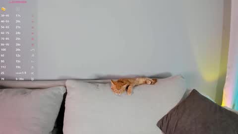 Mel online show from 10.01.25