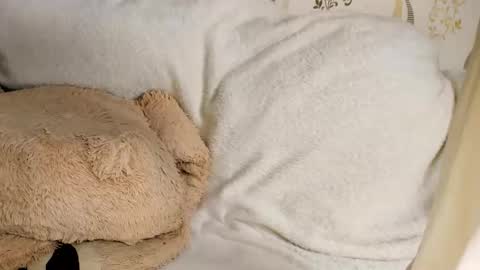 MelMooon online show from 03.11.26