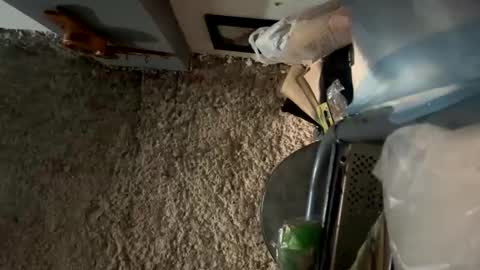 melodysnow online show from 01.08.26