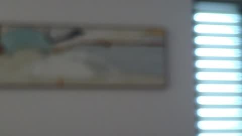 Mencialo online show from 05.10.26