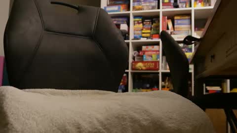 Snapshot of meneerkaas chatting on 12.29.24 meneerkaas online show from 12.29.24