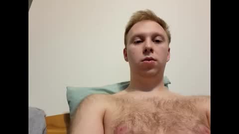 meow732 online show from 11.01.25