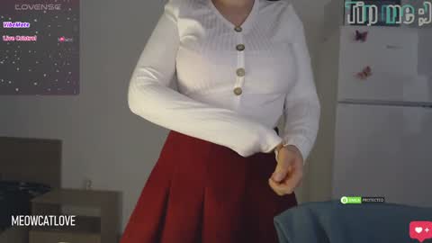 Snapshot of meowcatlove chatting on 12.01.24 meowcatlove online show from 12.01.24