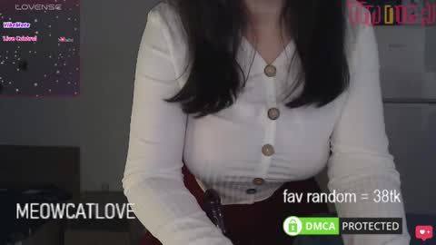 Snapshot of meowcatlove chatting on 01.20.25 meowcatlove online show from 01.20.25