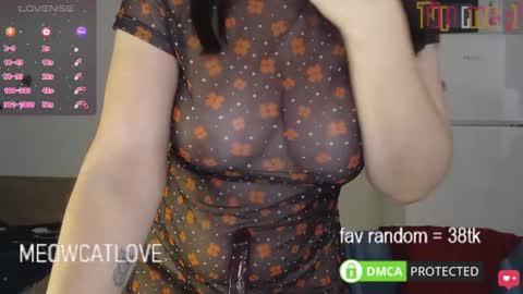 Snapshot of meowcatlove chatting on 01.21.25 meowcatlove online show from 01.21.25