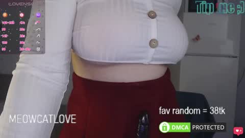 Snapshot of meowcatlove chatting on 03.08.25 meowcatlove online show from 03.08.25