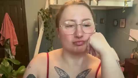 meowmaxx online show from 04.08.26