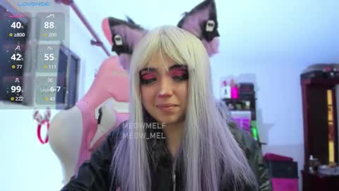 meowmelf online show from 01.13.26