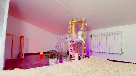 meowroslava online show from 11.14.25