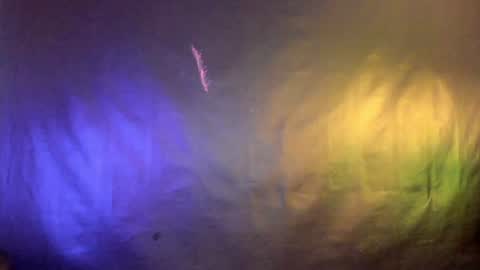 Snapshot of meraki_fraise chatting on 01.24.25    online show from 01.24.25