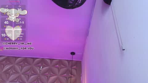 Snapshot of meraki_fraise chatting on 11.23.25 online show from 11.23.25